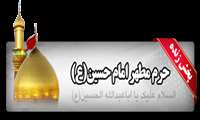 پخش زنده حرم حضرت امام حسین علیه السلام از وب سایت فاوا دانشگاه